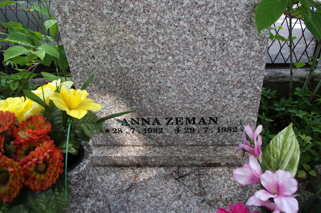 Anna Zeman 1982 Bielsko-Biała katedra - Grobonet - Wyszukiwarka osób pochowanych