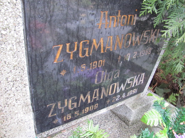 Olga Zygmanowska 1909 Bielsko-Biała katedra - Grobonet - Wyszukiwarka osób pochowanych