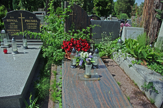 Grób Jan Makuchowski