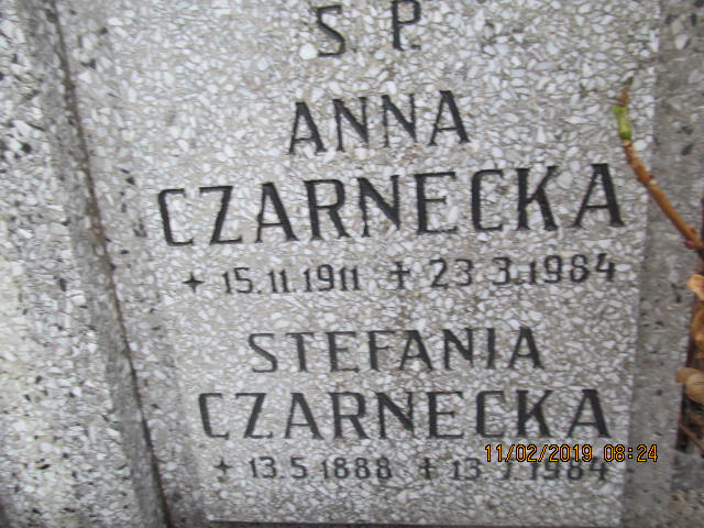 Tadeusz Czarnecki 1912 Bielsko-Biała katedra - Grobonet - Wyszukiwarka osób pochowanych