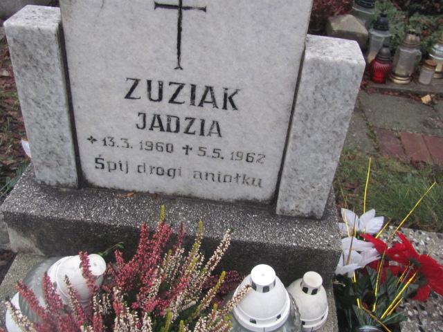 Jadwiga Zuziak 1960 Bielsko-Biała katedra - Grobonet - Wyszukiwarka osób pochowanych