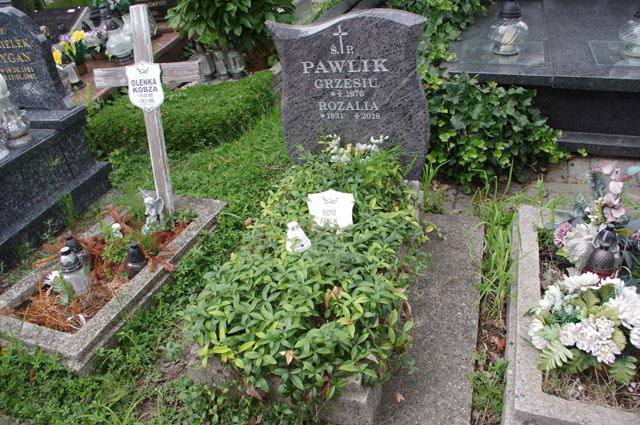 Zdjęcie grobu