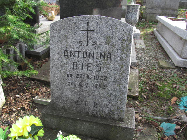 Antonina Bieś 1922 Bielsko-Biała katedra - Grobonet - Wyszukiwarka osób pochowanych