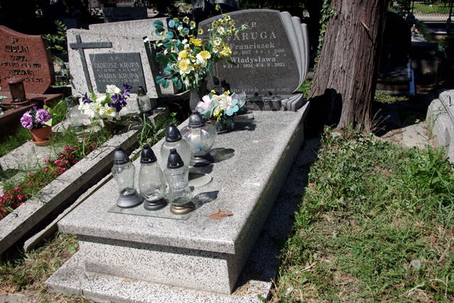 Grób Władysława Faruga