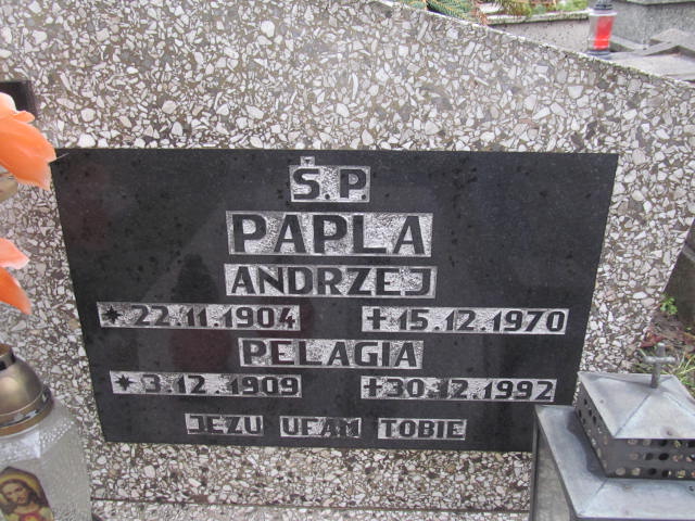 Andrzej Papla 1904 Bielsko-Biała katedra - Grobonet - Wyszukiwarka osób pochowanych