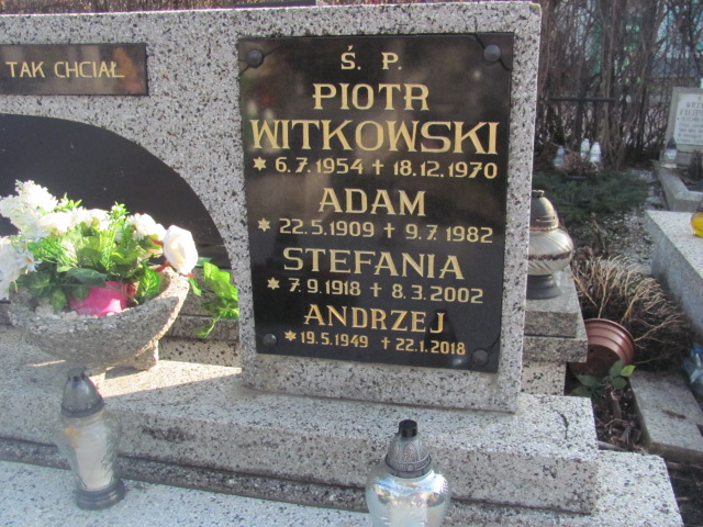 Andrzej Witkowski 1949 Bielsko-Biała katedra - Grobonet - Wyszukiwarka osób pochowanych