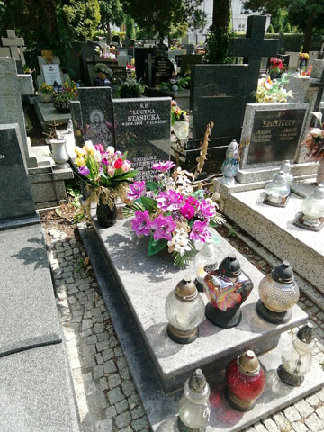 Grób Tadeusz Spiżewski